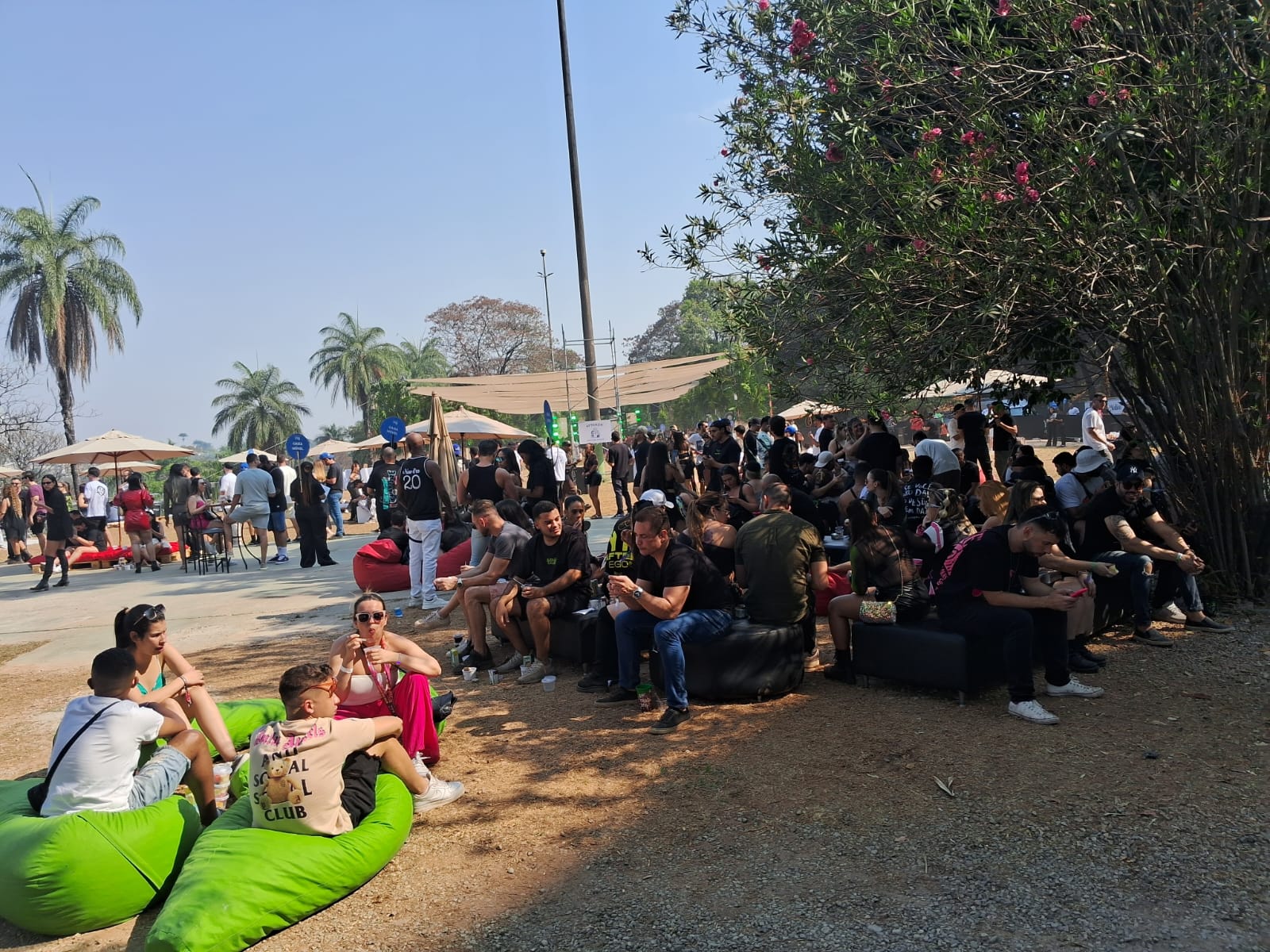 WhatsApp Image 2026-02-03 at 16.03.03 (4)