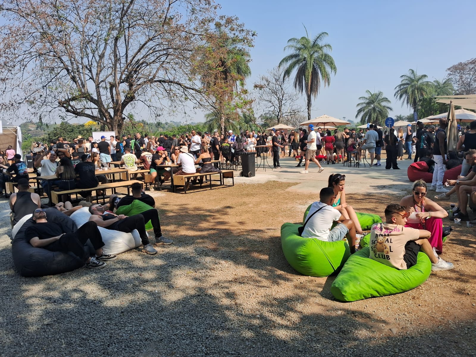 WhatsApp Image 2026-02-03 at 16.03.04